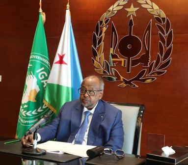 رئيس الجمهورية يؤكد تمسّك جيبوتي بحرية الملاحة البحرية العالمية